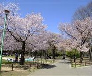 円山公園（北海道）